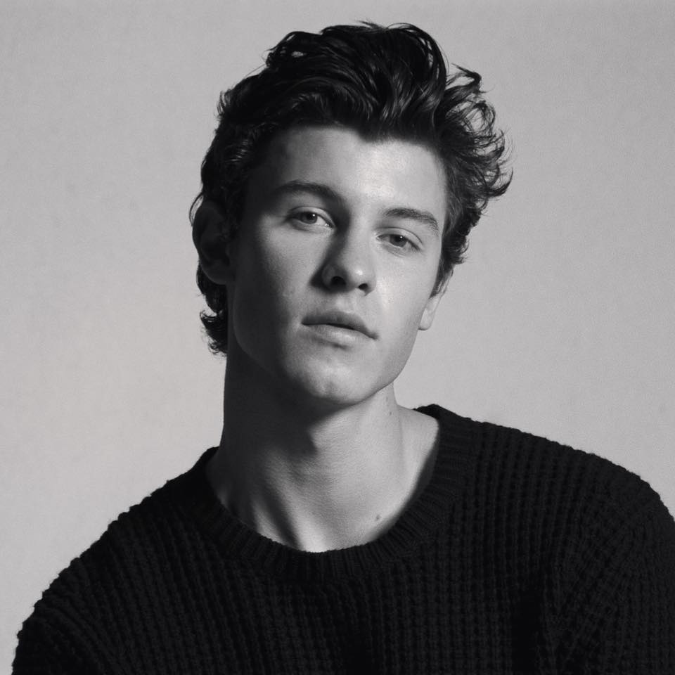 Billets Shawn Mendes (Barclays Arena - Hambourg)