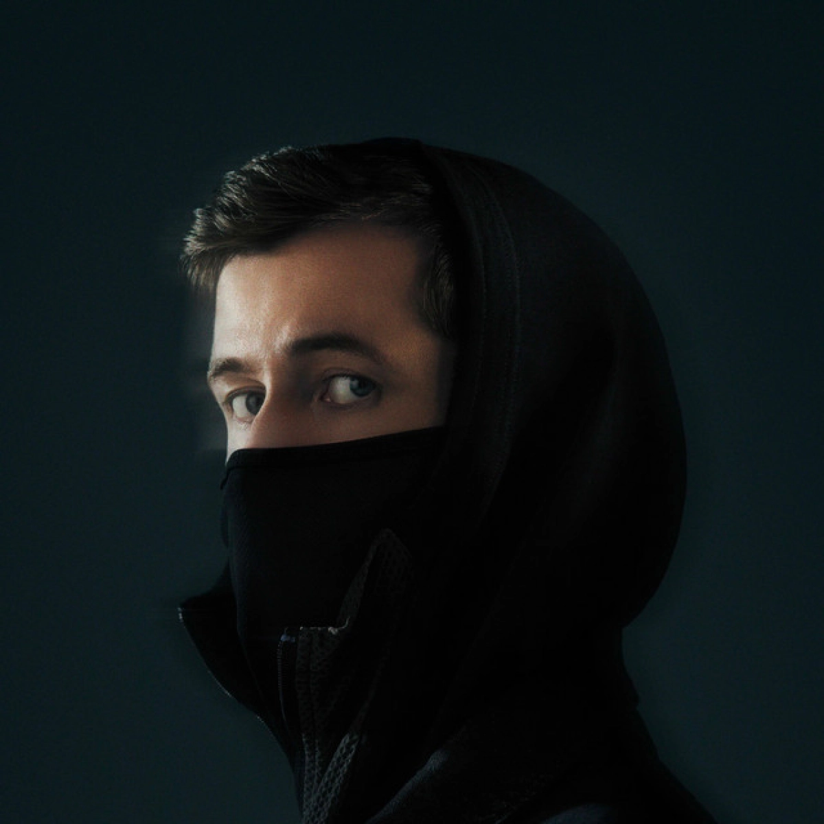 Billets Alan Walker