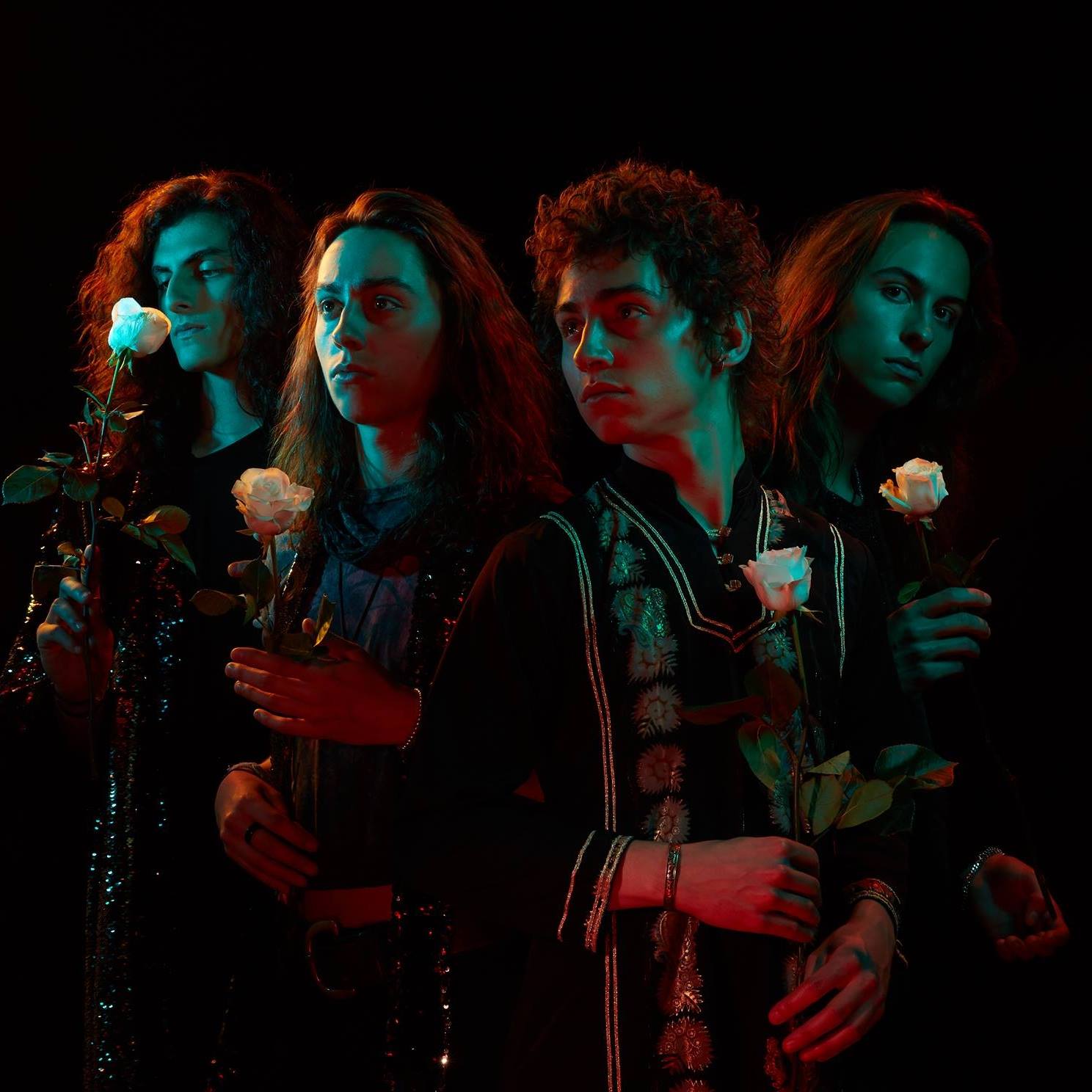 Billets Greta Van Fleet (Theatre Jean Deschamps - Carcassonne)