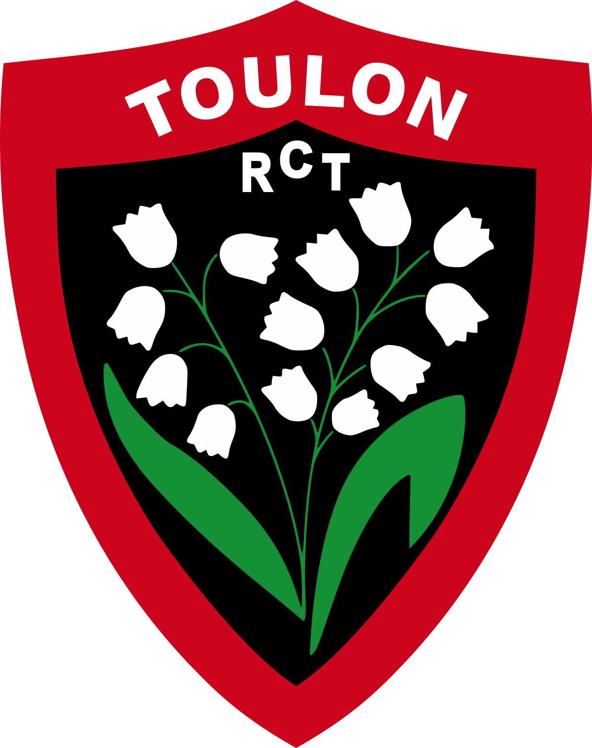 Billets RCT Toulon
