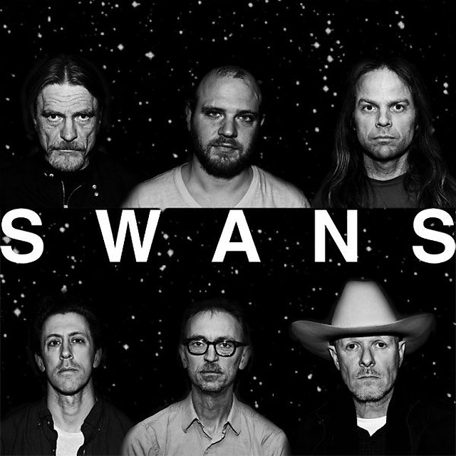 Swans Tickets