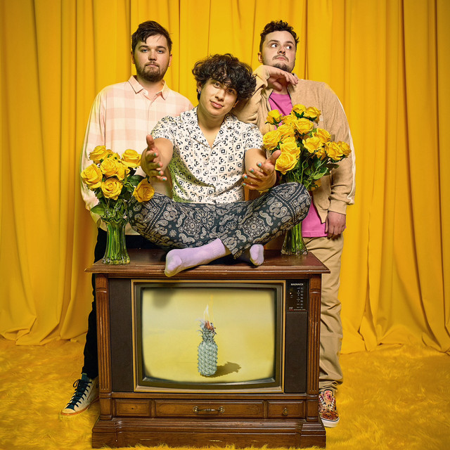 The Happy Fits at Islington Assembly Hall Tickets