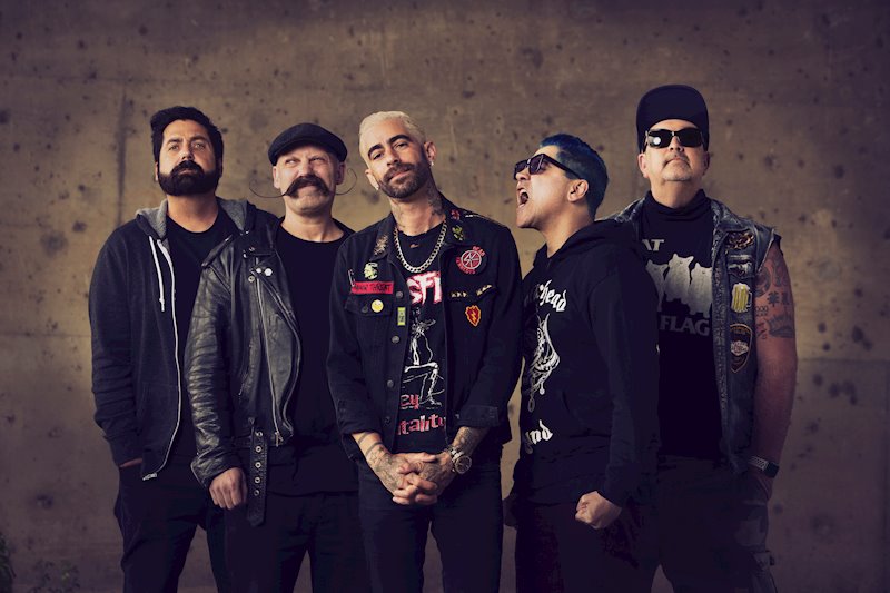Billets Zebrahead (Thekla - Bristol)