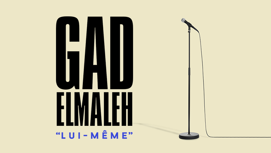 Gad Elmaleh al LDLC Arena Tickets