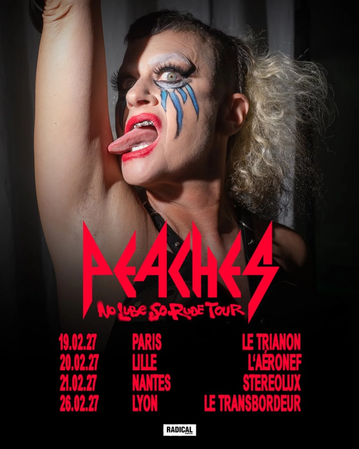 Billets Peaches (Le Transbordeur - Villeurbanne)
