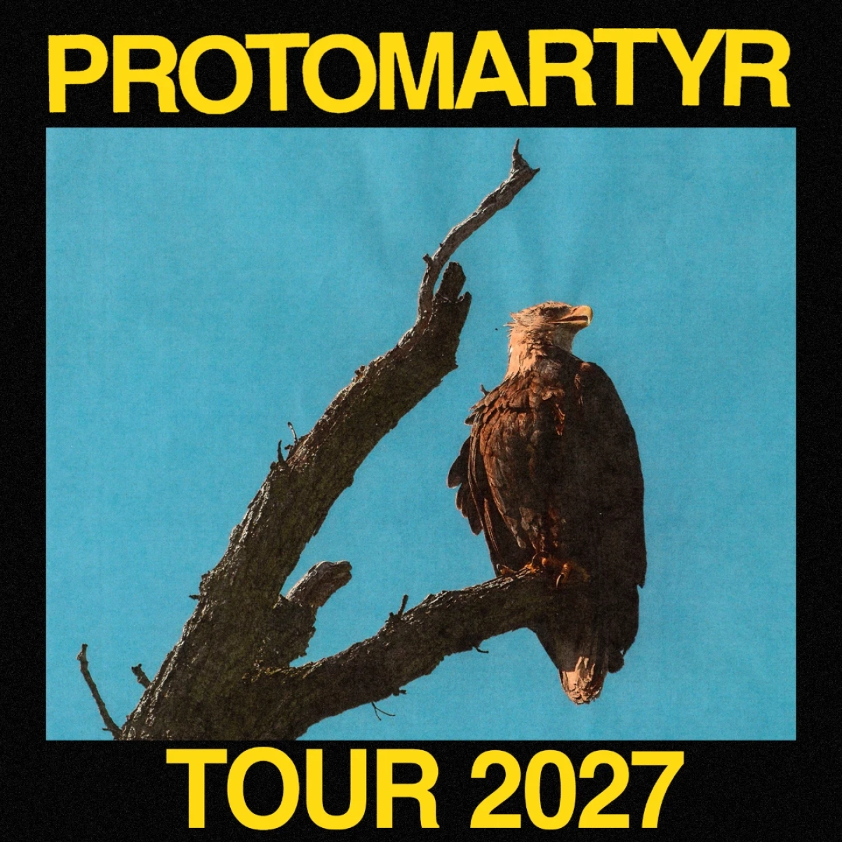 Protomartyr at Pumpehuset Tickets
