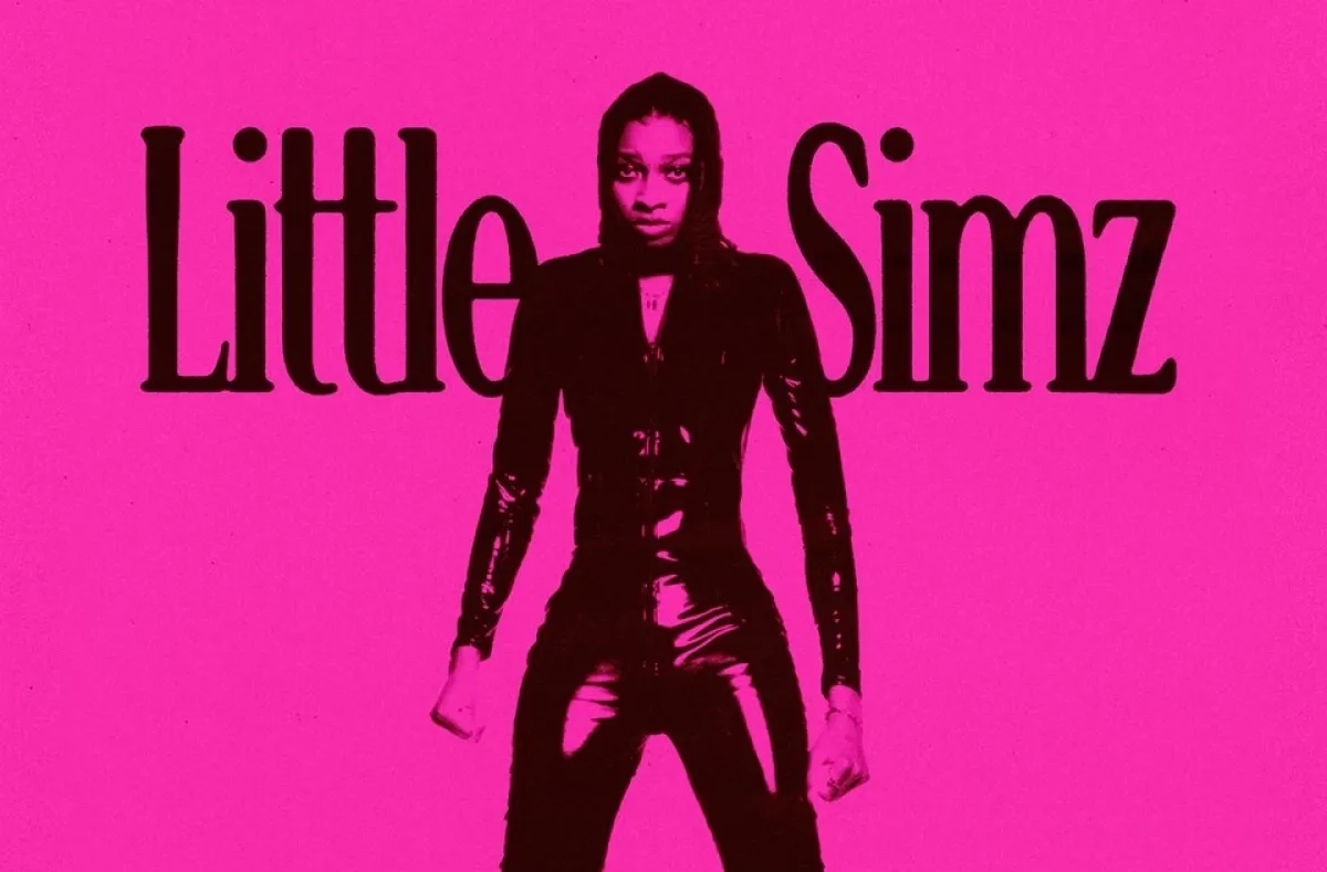 Billets Little Simz (Gasometer Vienna - Vienne)