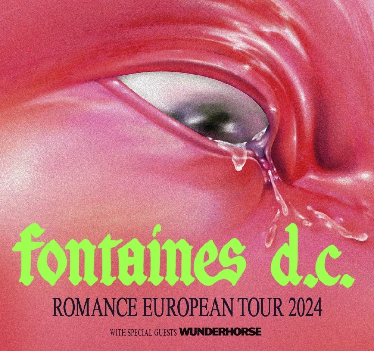 Fontaines D.C. al Zenith Paris Tickets