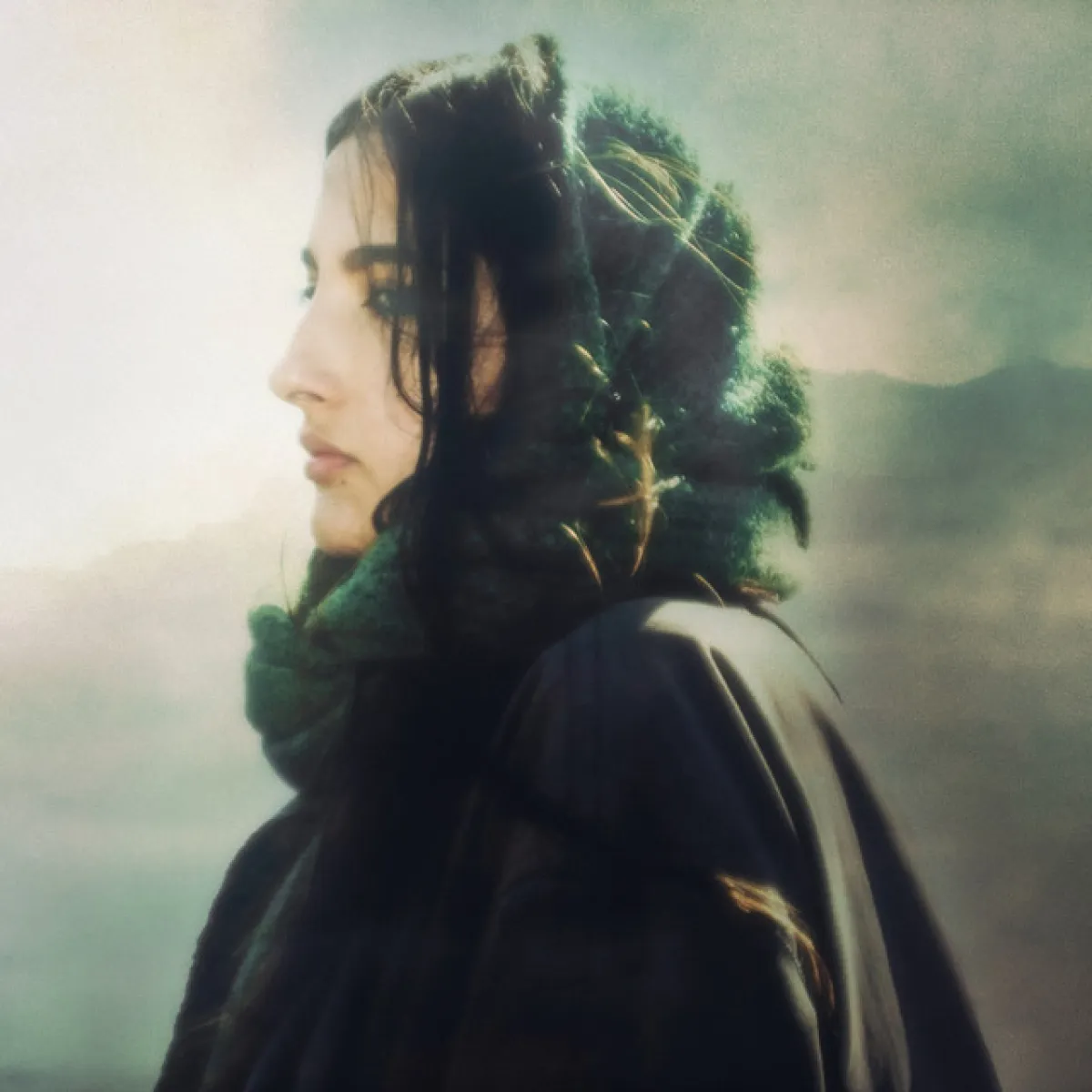 Asinine en L'Affranchi Tickets