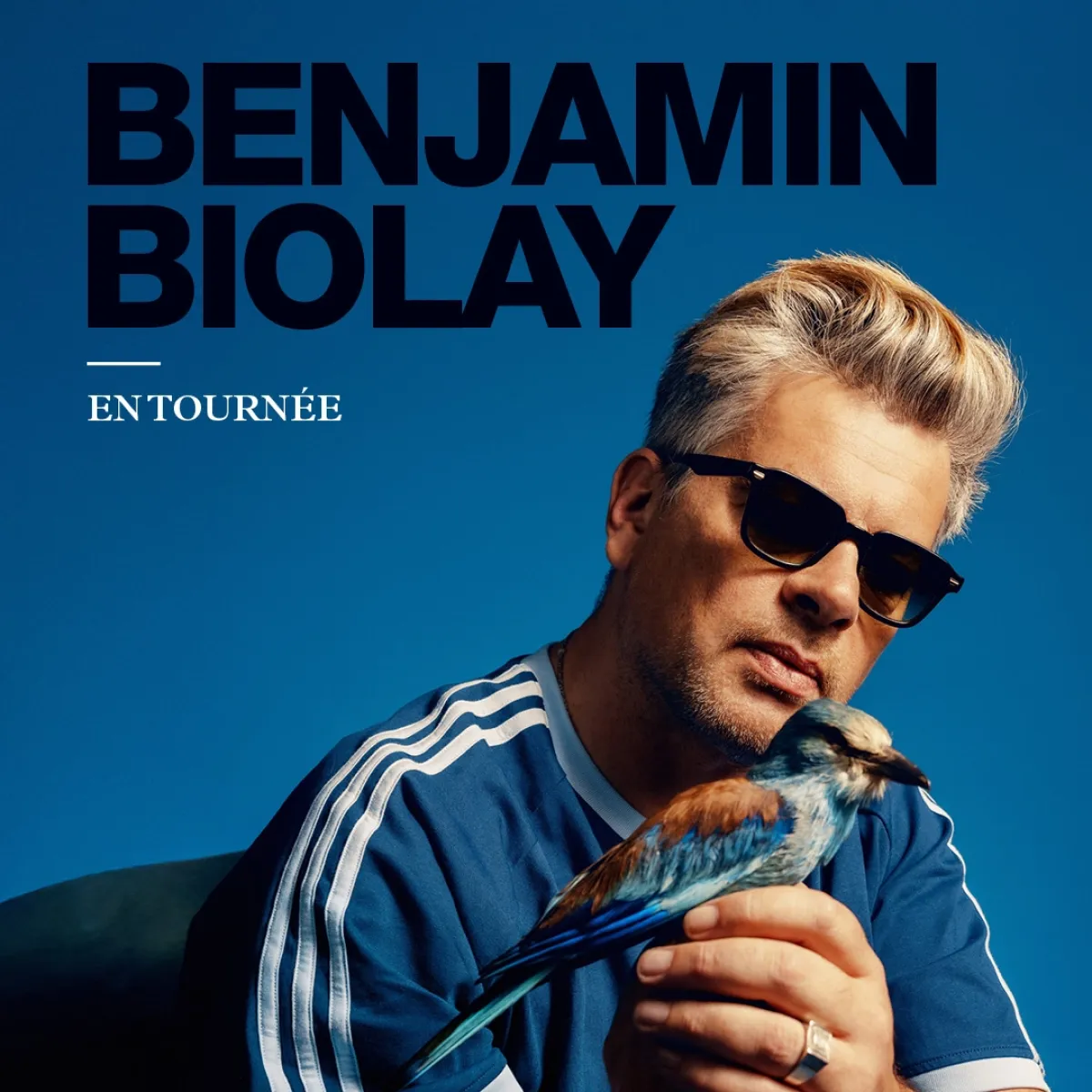 Billets Benjamin Biolay (Zenith Paris - Paris)