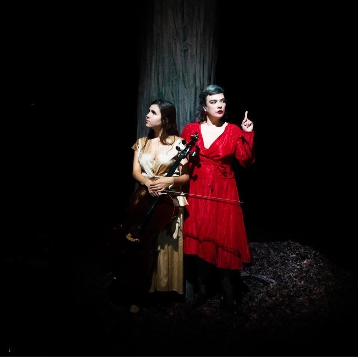 Birds on a Wire en Théâtre Jean Vilar Vitry-sur-Seine Tickets