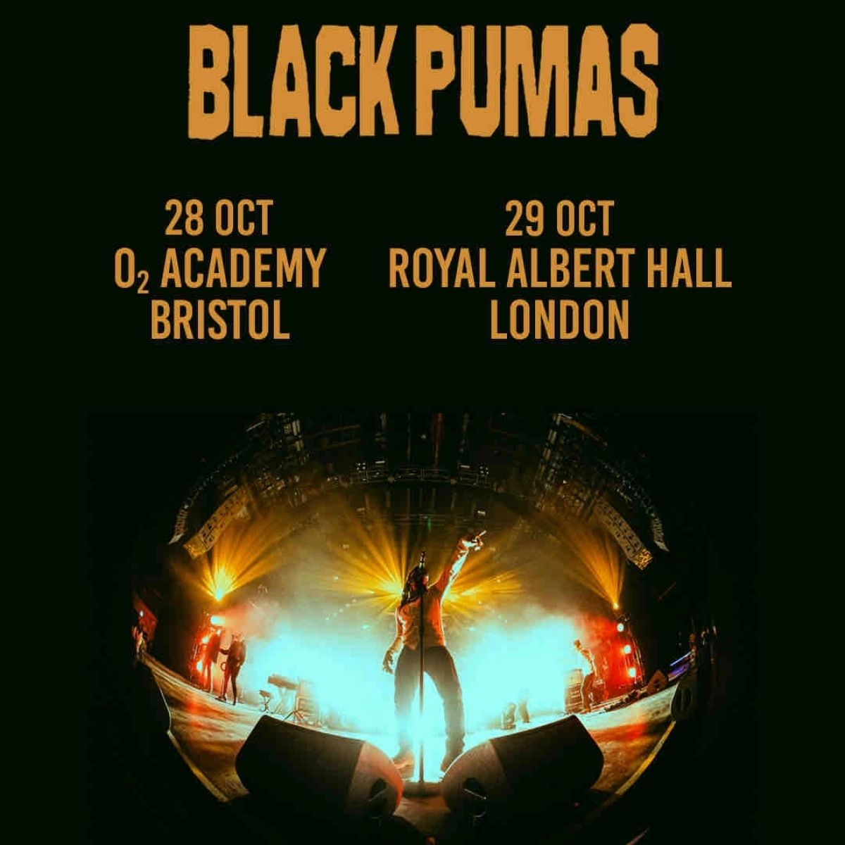 Billets Black Pumas (Royal Albert Hall - Londres)