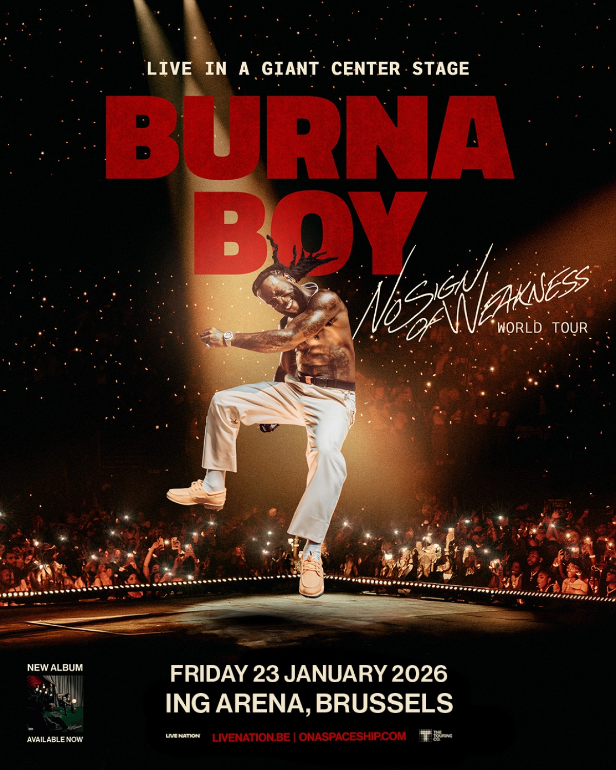 Billets Burna Boy (ING Arena - Bruxelles)