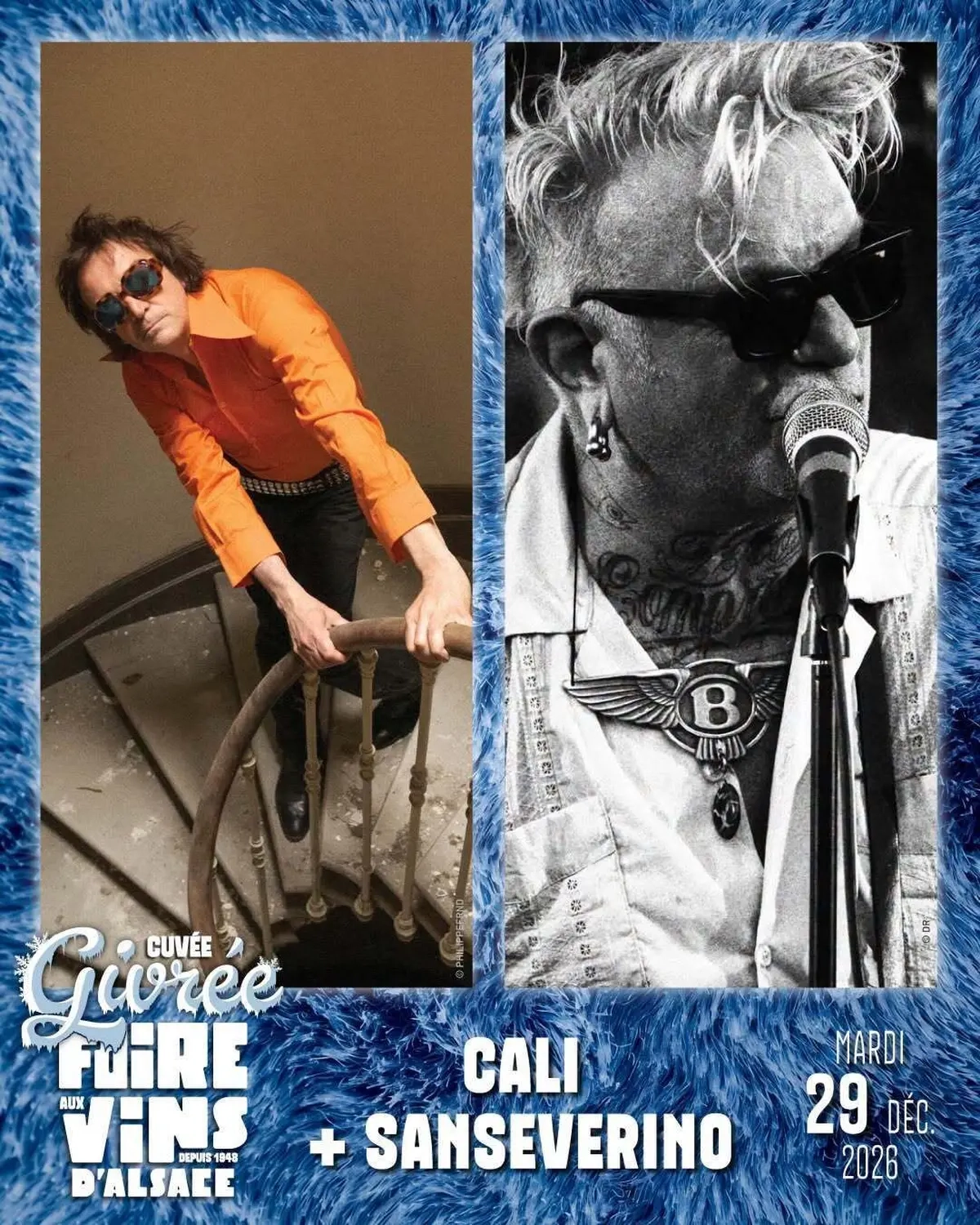 Cali - Sanseverino at Halle Aux Vins - Parc Expo Colmar Tickets
