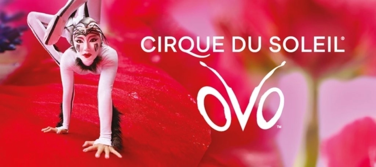 Billets Cirque du Soleil (Zenith Dijon - Dijon)