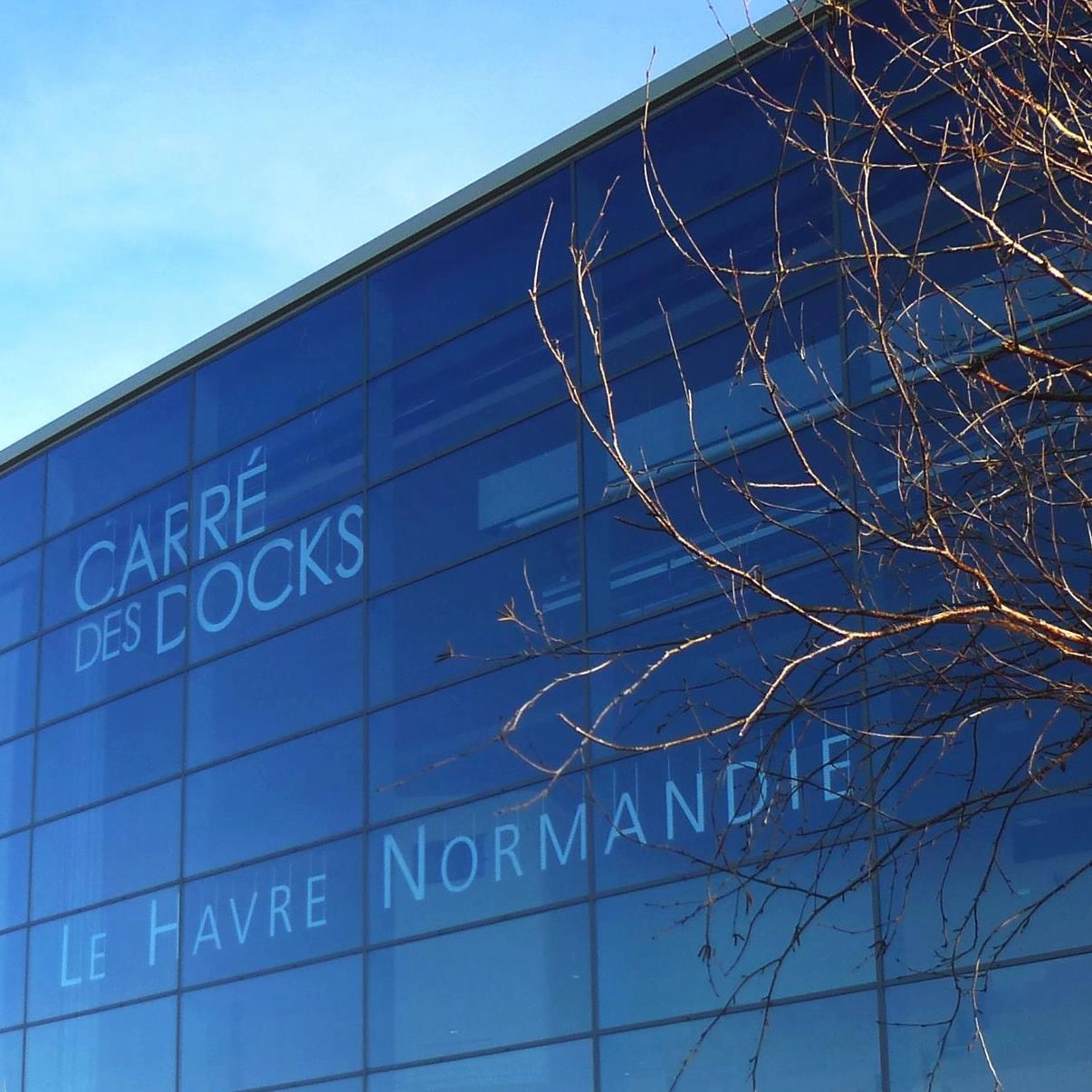 Danakil en Carre Des Docks - Docks Oceane Tickets