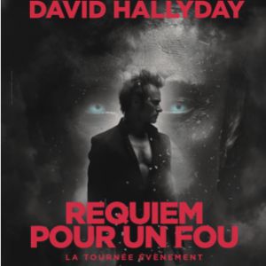 David Hallyday in der Palais des Sports - Dome de Paris Tickets