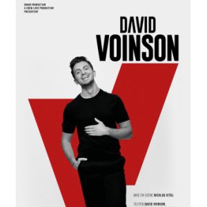David Voinson at Le Grand Angle Tickets