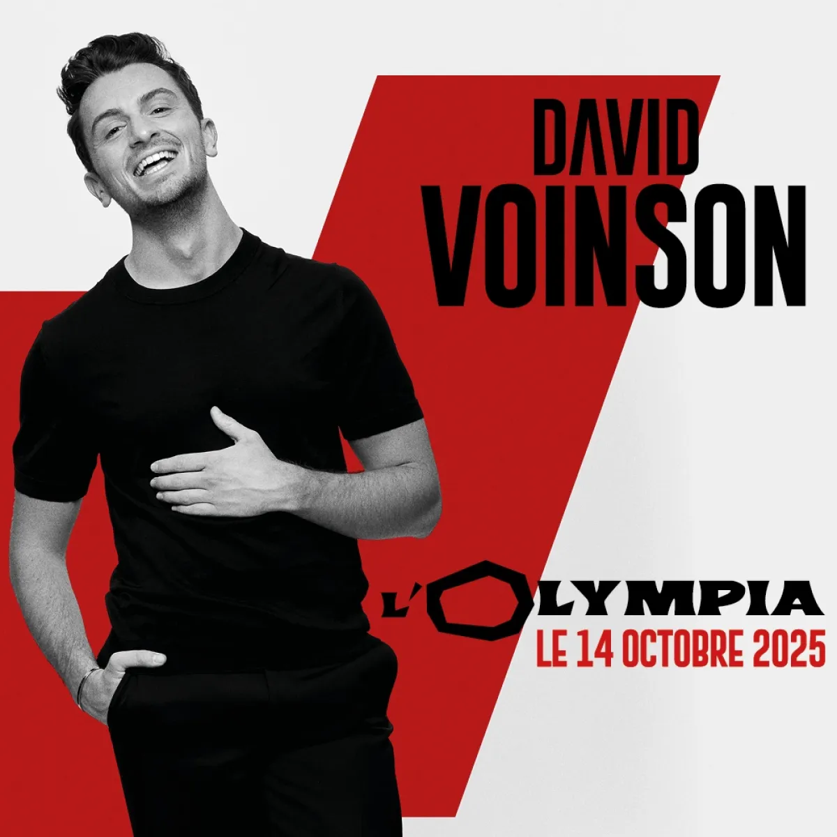 Billets David Voinson (Olympia - Paris)