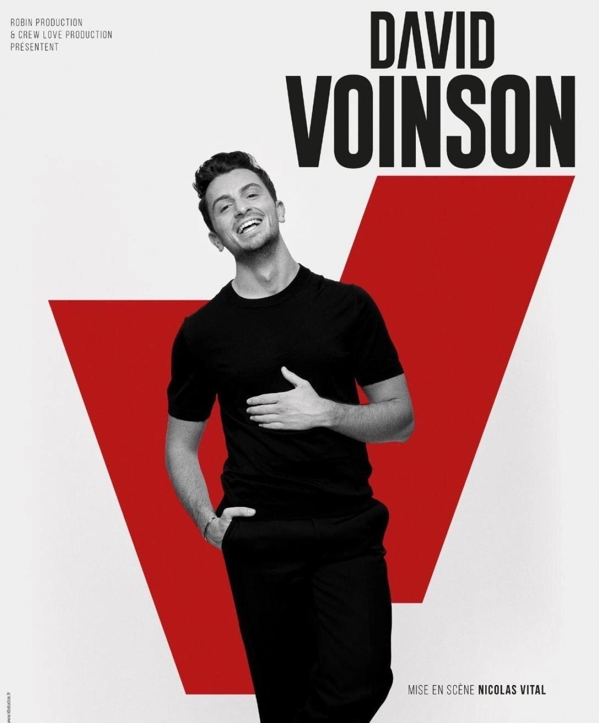 Billets David Voinson (Summum - Grenoble)
