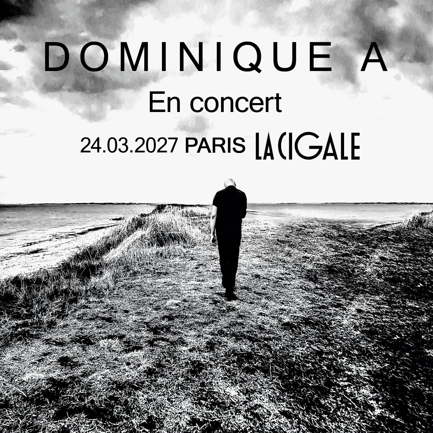 Dominique A at La Cigale Tickets