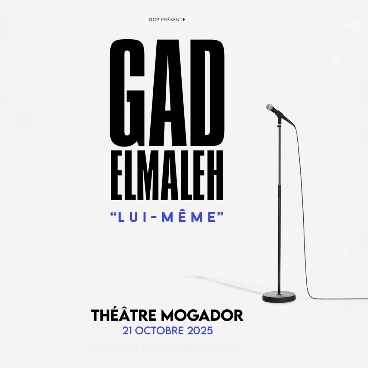 Billets Gad Elmaleh (Theatre Mogador - Paris)