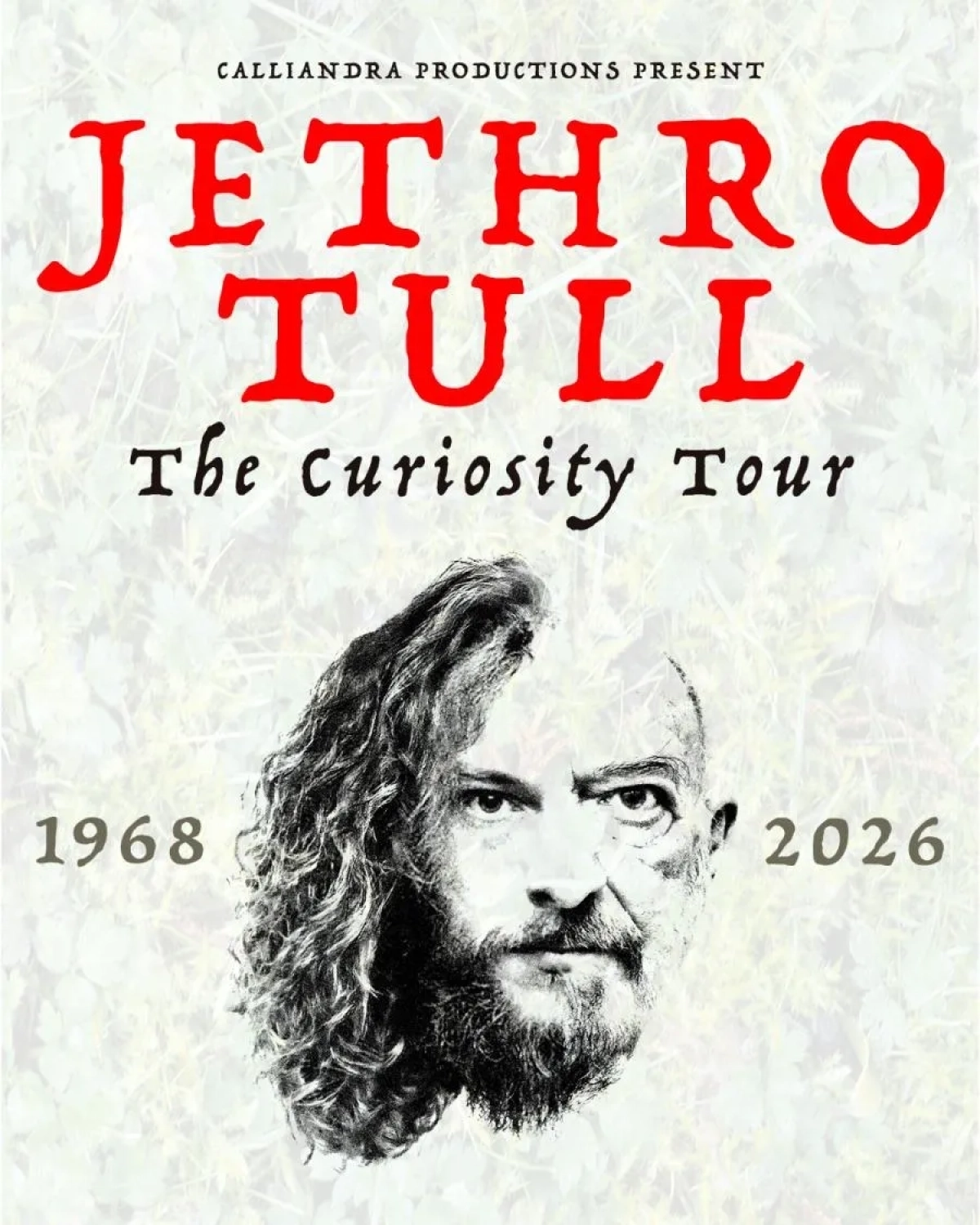 Billets Jethro Tull (Meistersingerhalle Nürnberg - Nuremberg)