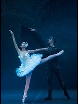 Le Lac Des Cygnes al Gare du Midi Tickets