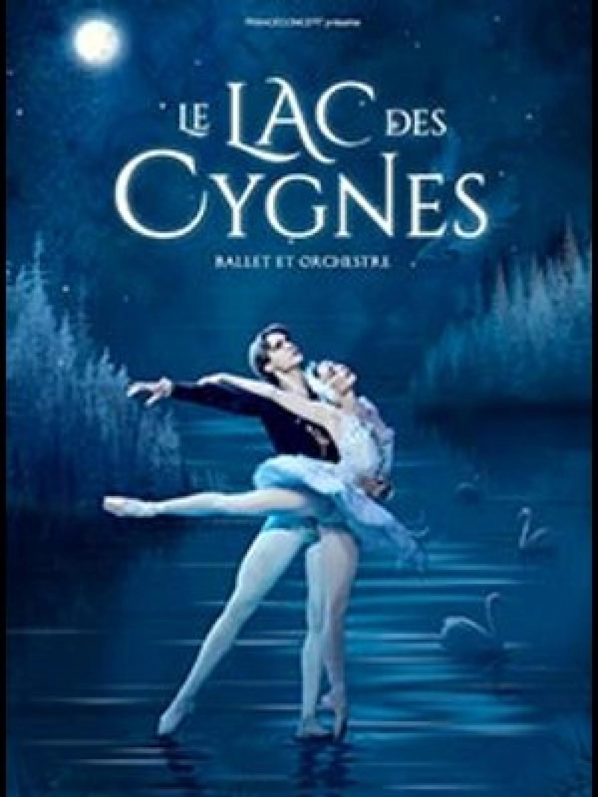 Billets Le Lac Des Cygnes (Narbonne Arena - Narbonne)