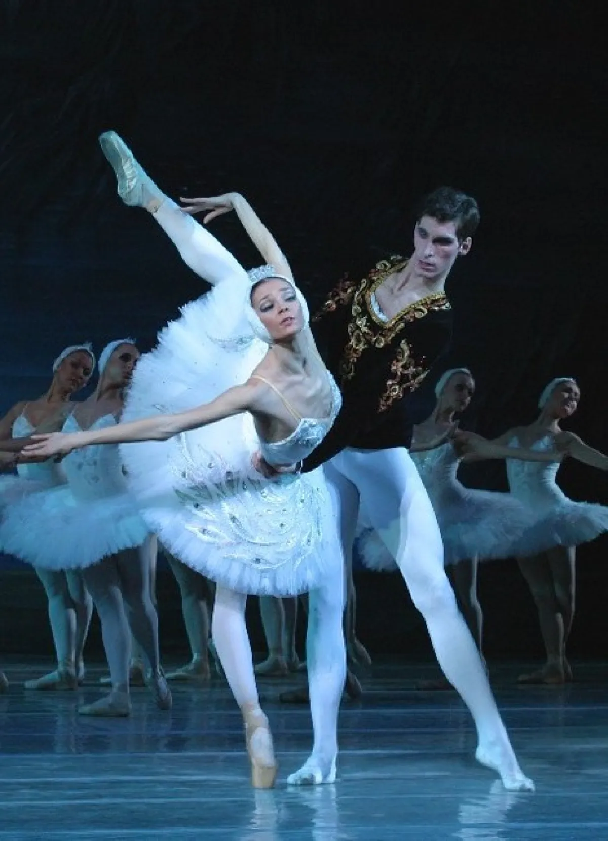 Le Lac Des Cygnes in der Palais Des Congres De Tours Tickets