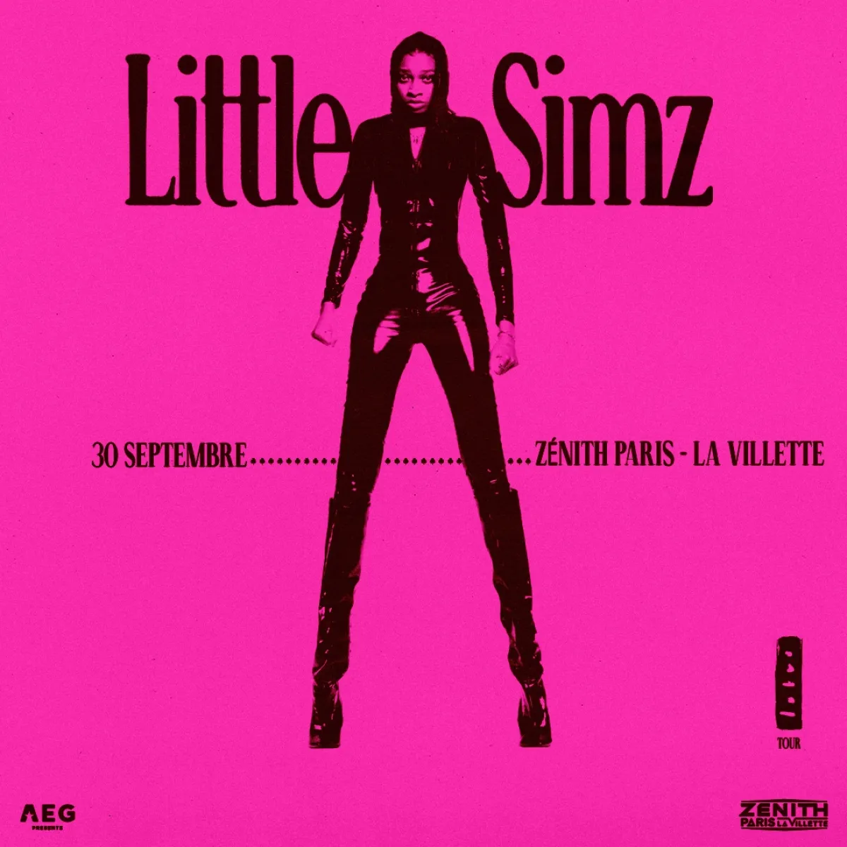 Billets Little Simz (Zenith Paris - Paris)