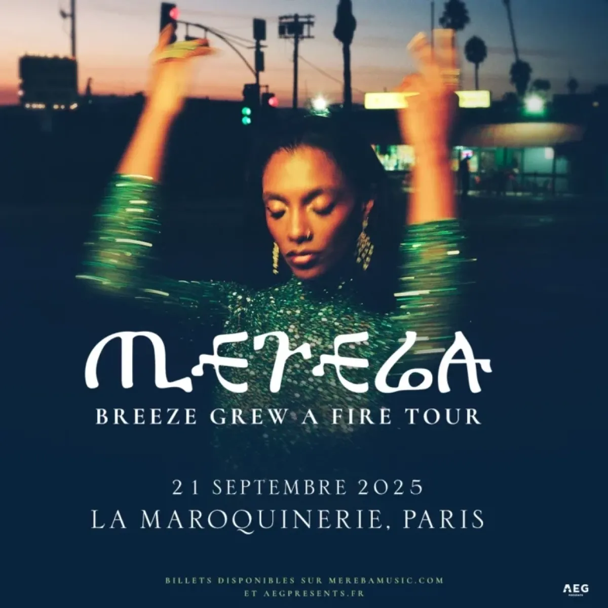 Billets Mereba (La Maroquinerie - Paris)