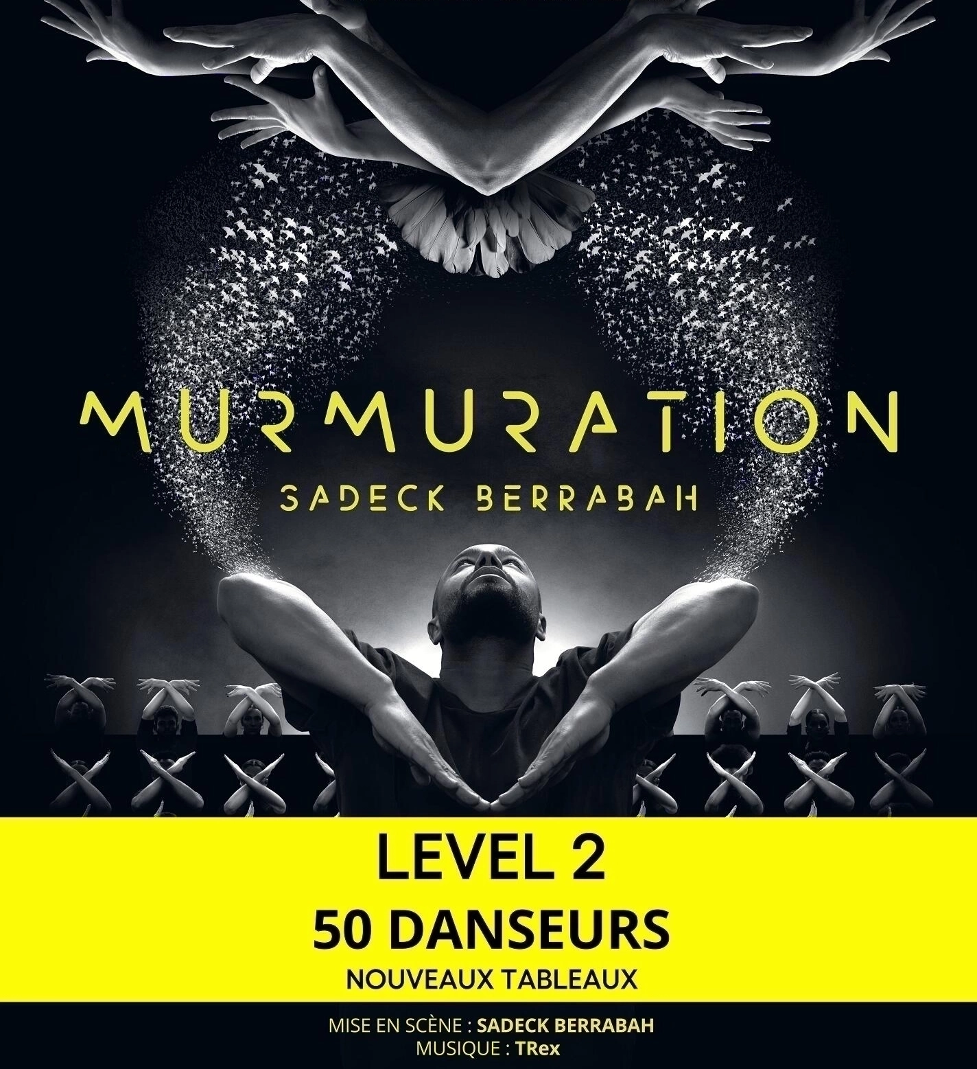 Murmuration Level 2 en Zenith Tolosa Tickets