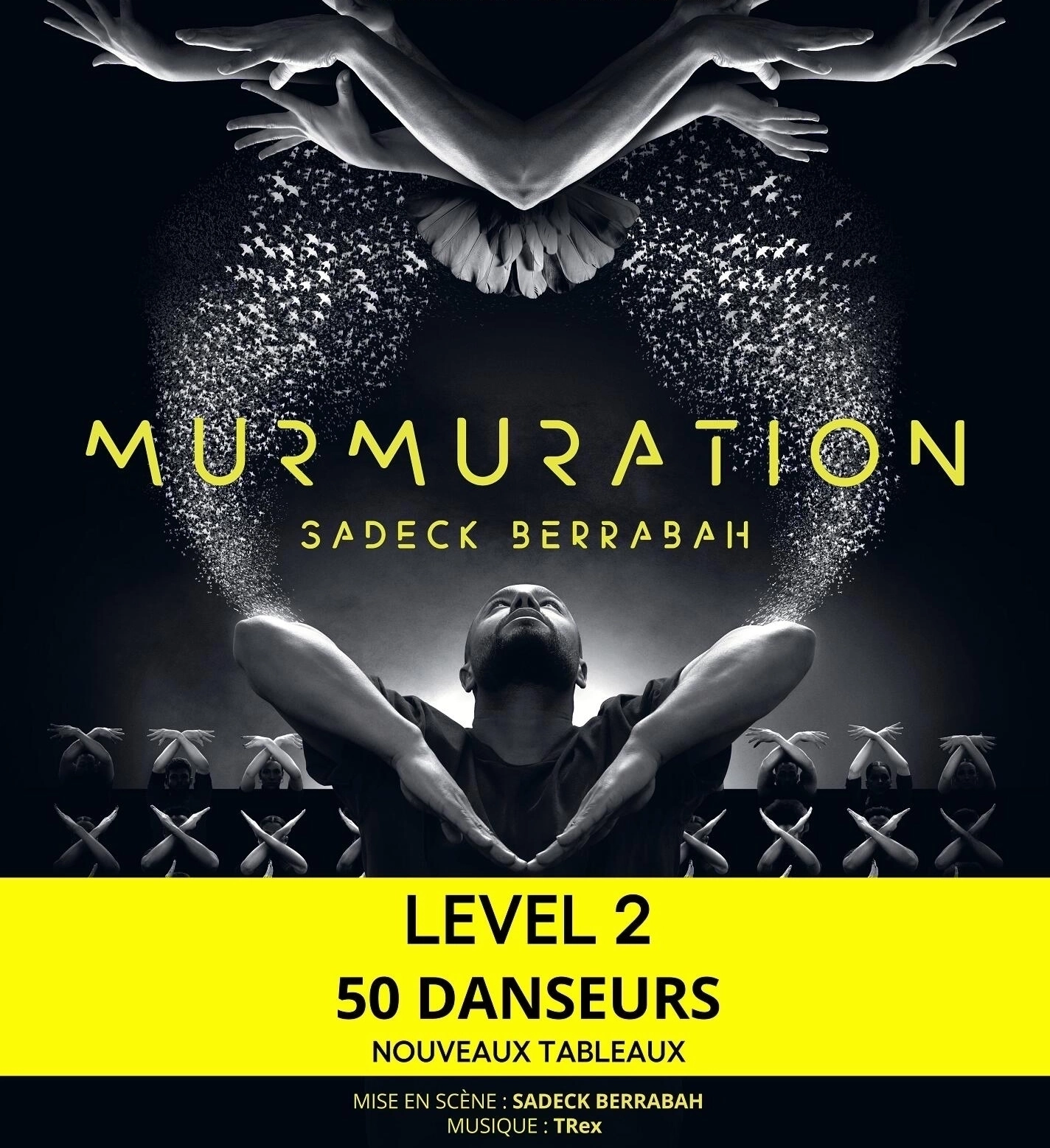 Billets Murmuration - Sadeck Berrabah (Galaxie - Amneville)