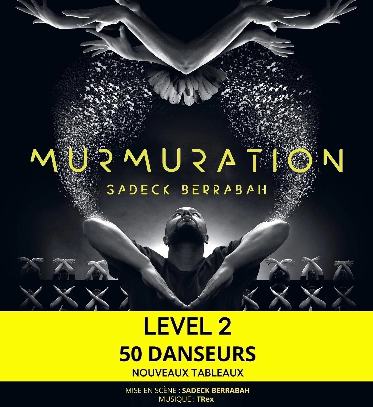 Murmuration - Sadeck Berrabah al Palais Nikaia Tickets