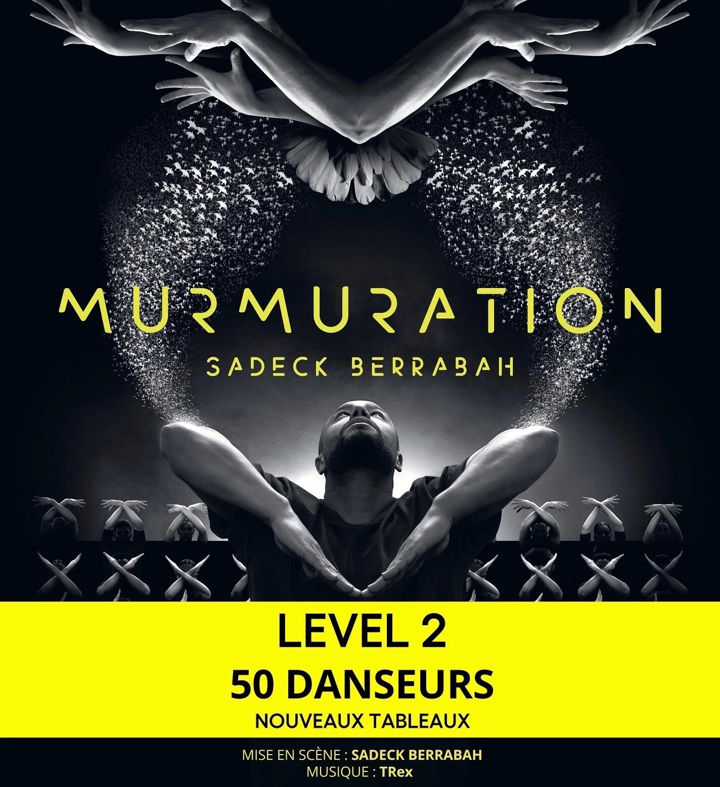 Billets Murmuration - Sadeck Berrabah (Zenith Dijon - Dijon)