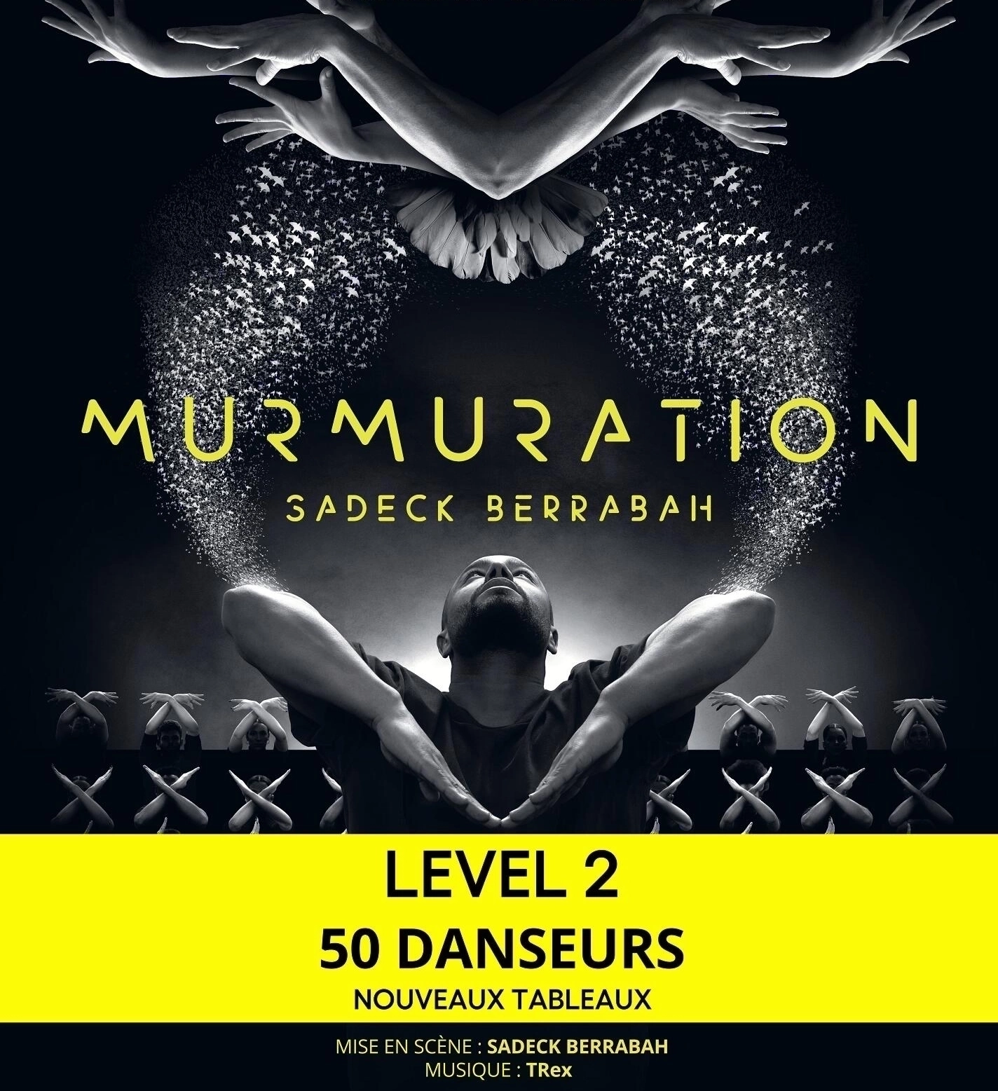 Murmuration - Sadeck Berrabah at Zenith Nantes Tickets