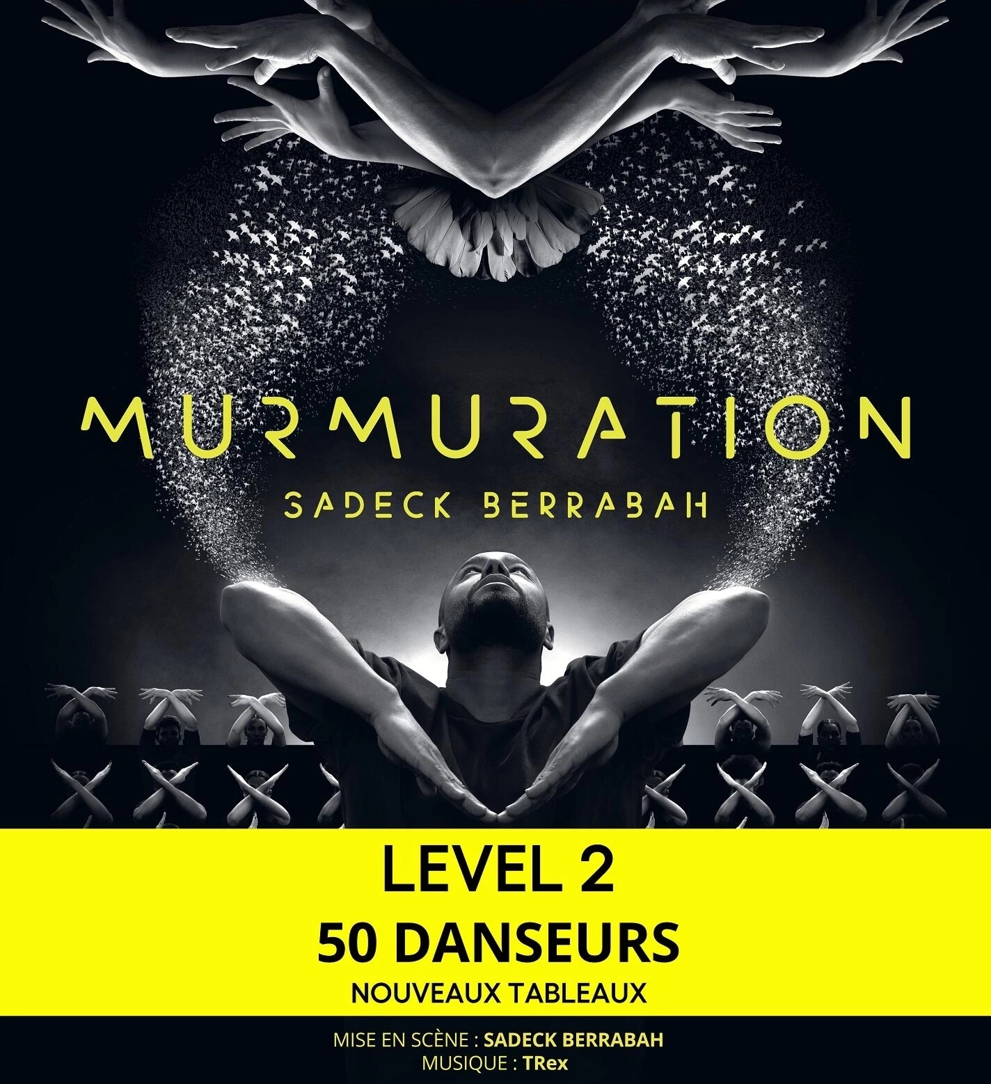 Murmuration - Sadeck Berrabah at Zenith Orleans Tickets