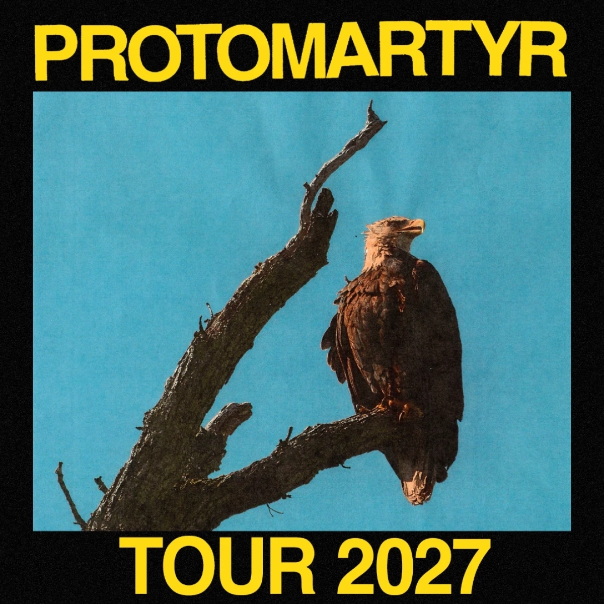 Protomartyr at Band On The Wall Tickets