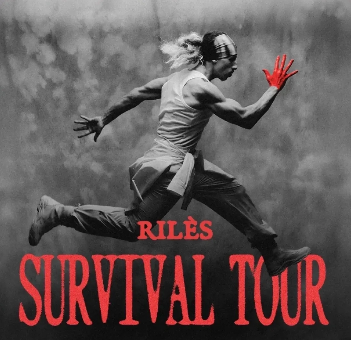 Billets Riles (Zenith Toulouse - Toulouse)