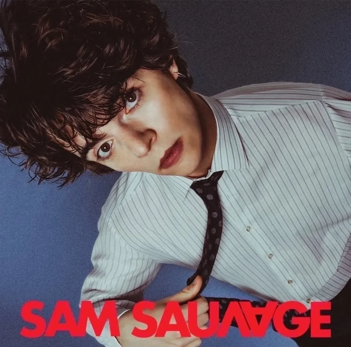 Sam Sauvage at Espace Malraux Joue Les Tours Tickets