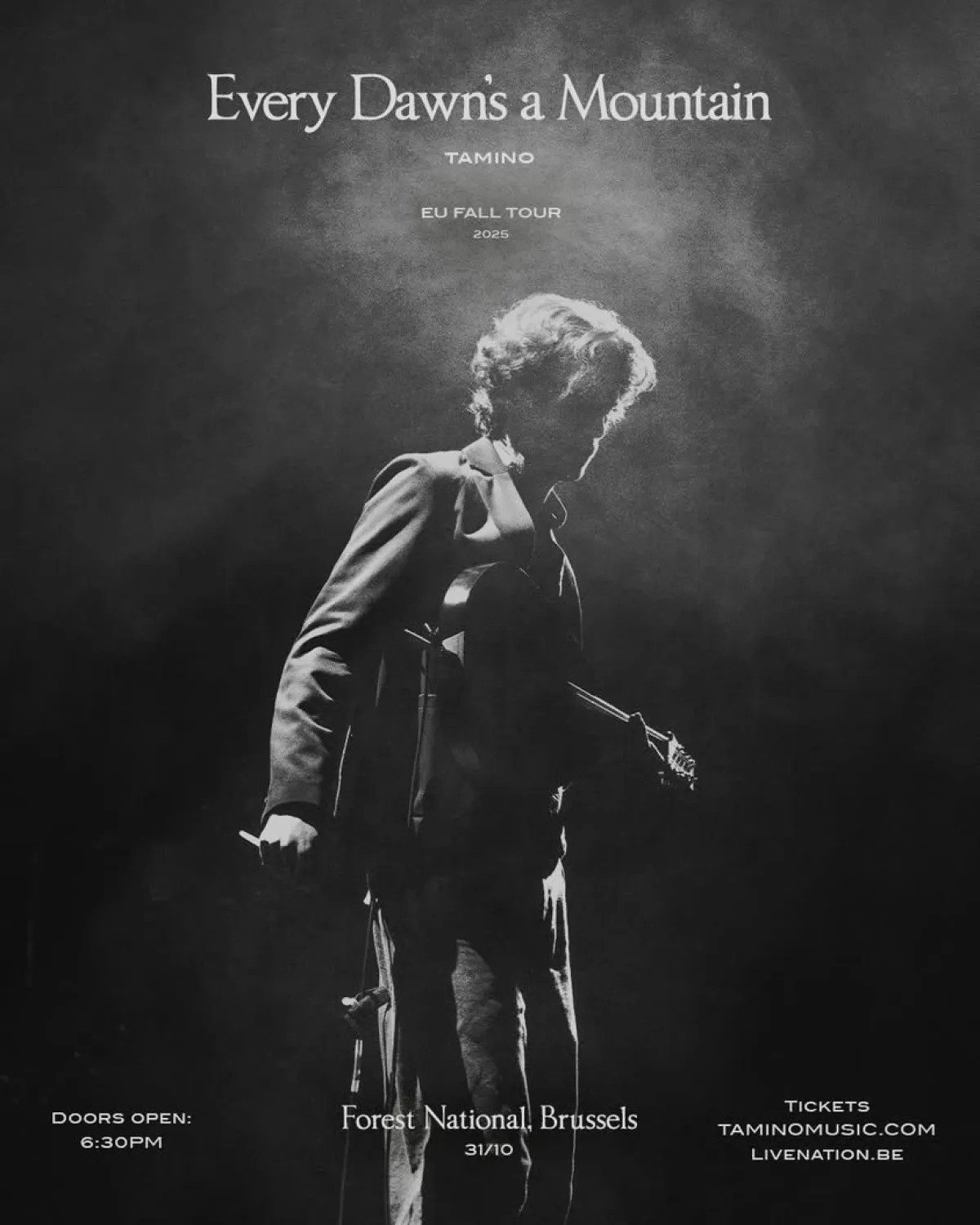 Billets Tamino (Forest National - Bruxelles)