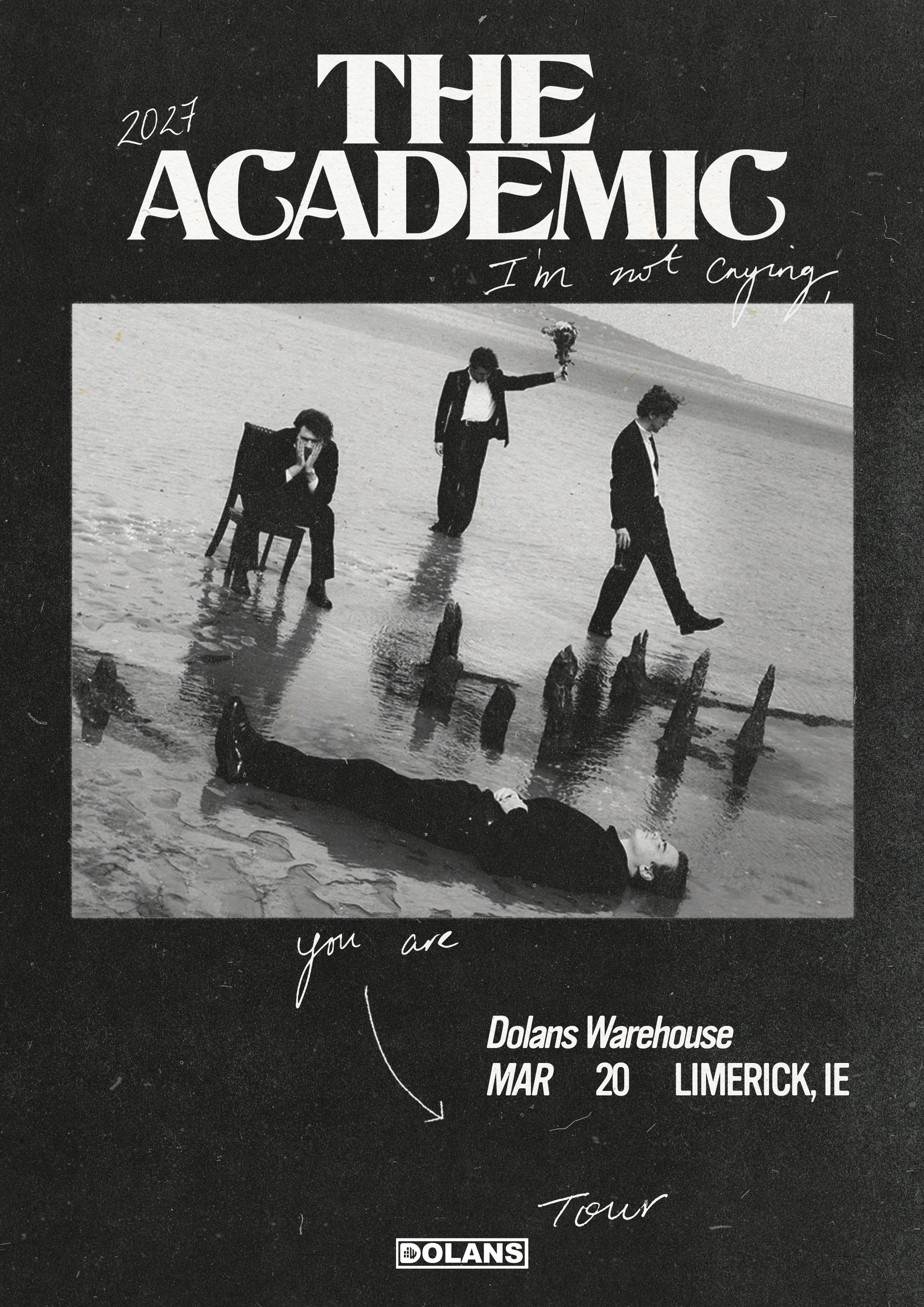 The Academic at Dolans Warehouse Tickets