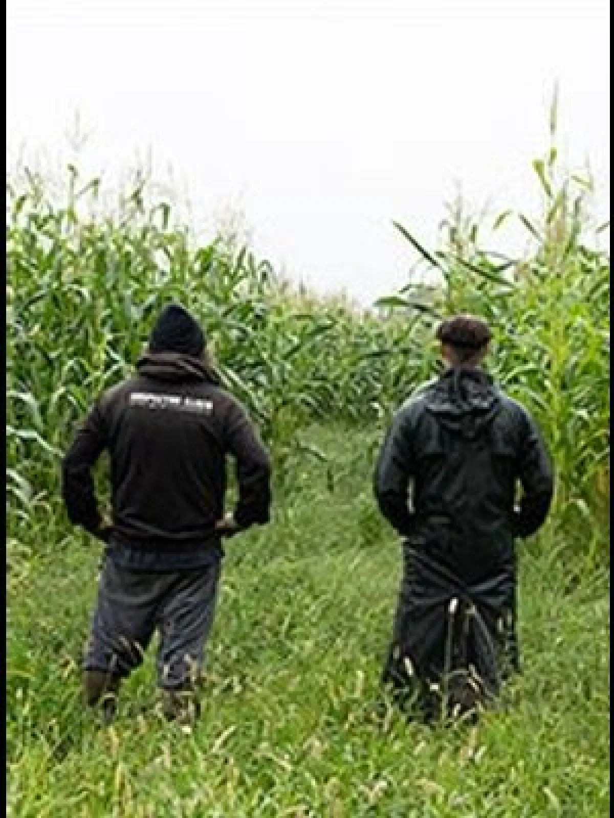 Billets The Inspector Cluzo (Salle des Fetes Bordeaux - Bordeaux)