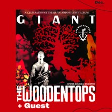 The Woodentops at Petit Bain Tickets