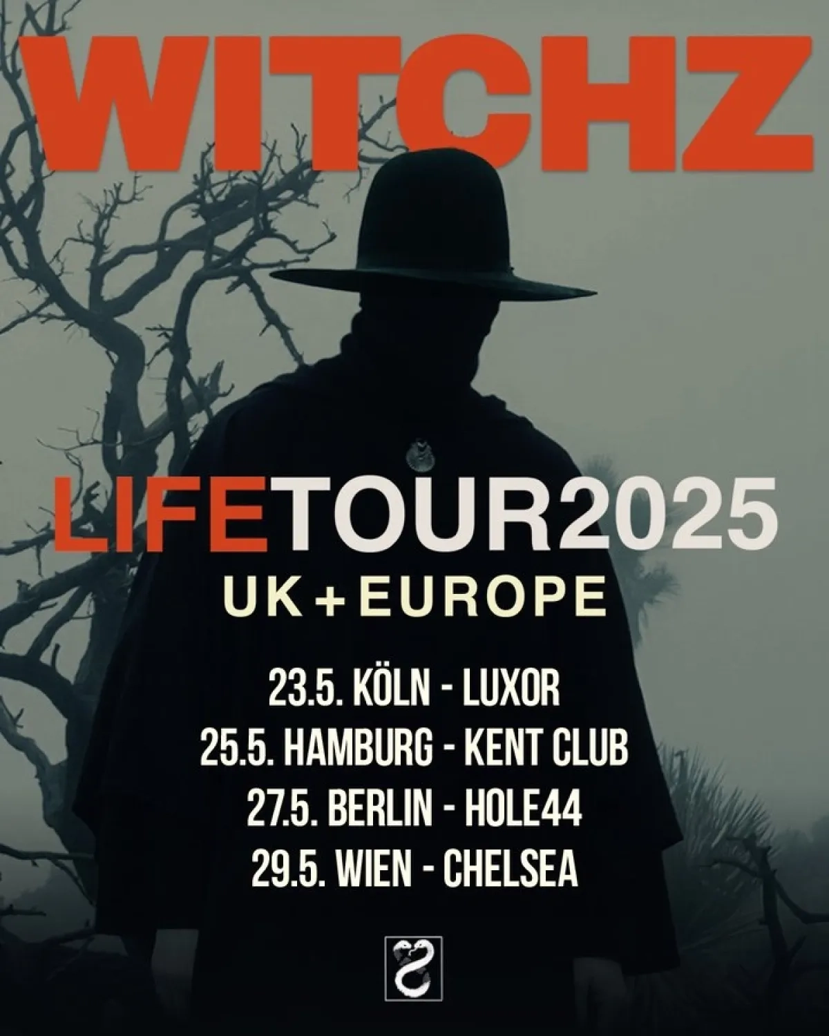 Billets Witchz (Chelsea Vienna - Vienne)