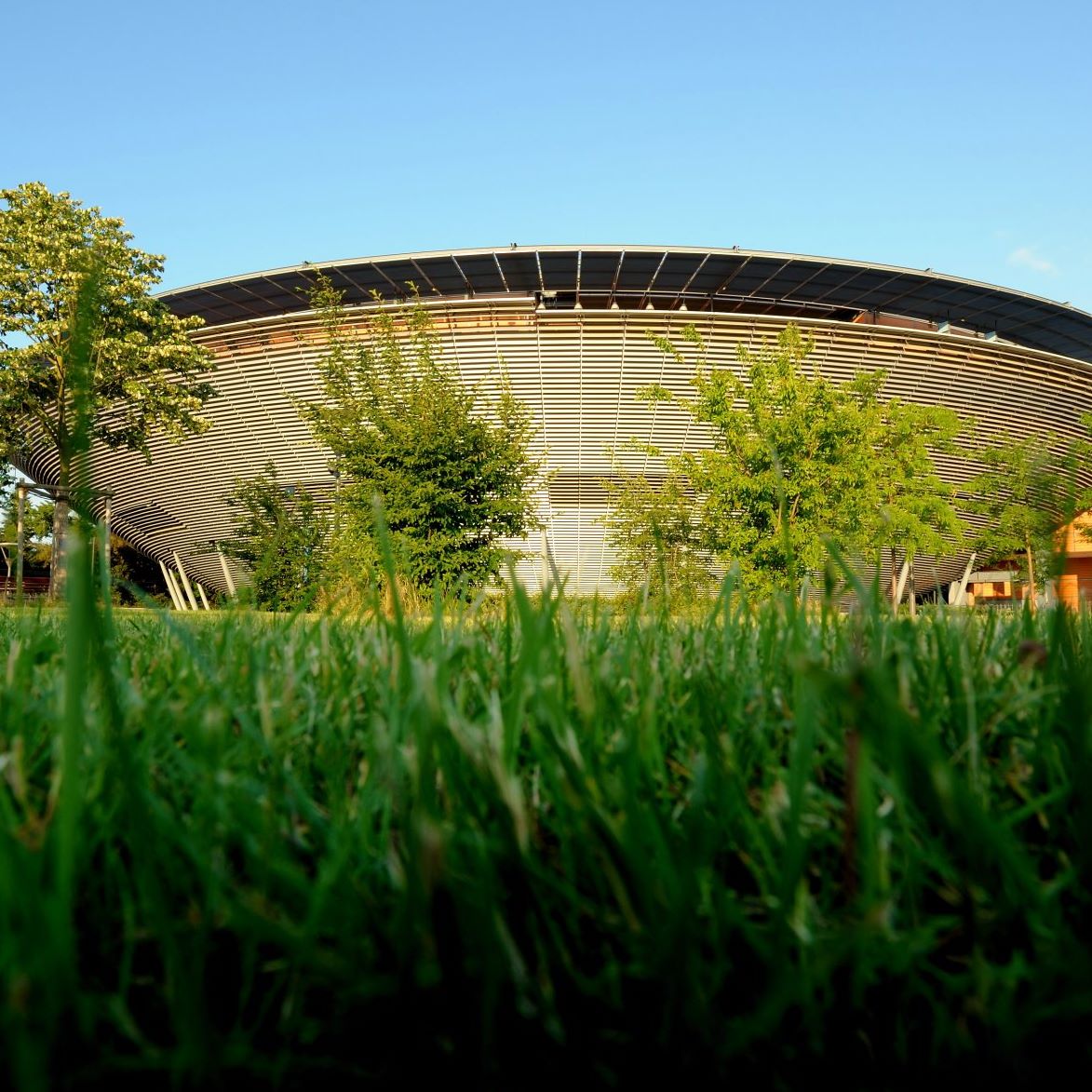 Billets L'amphitheatre